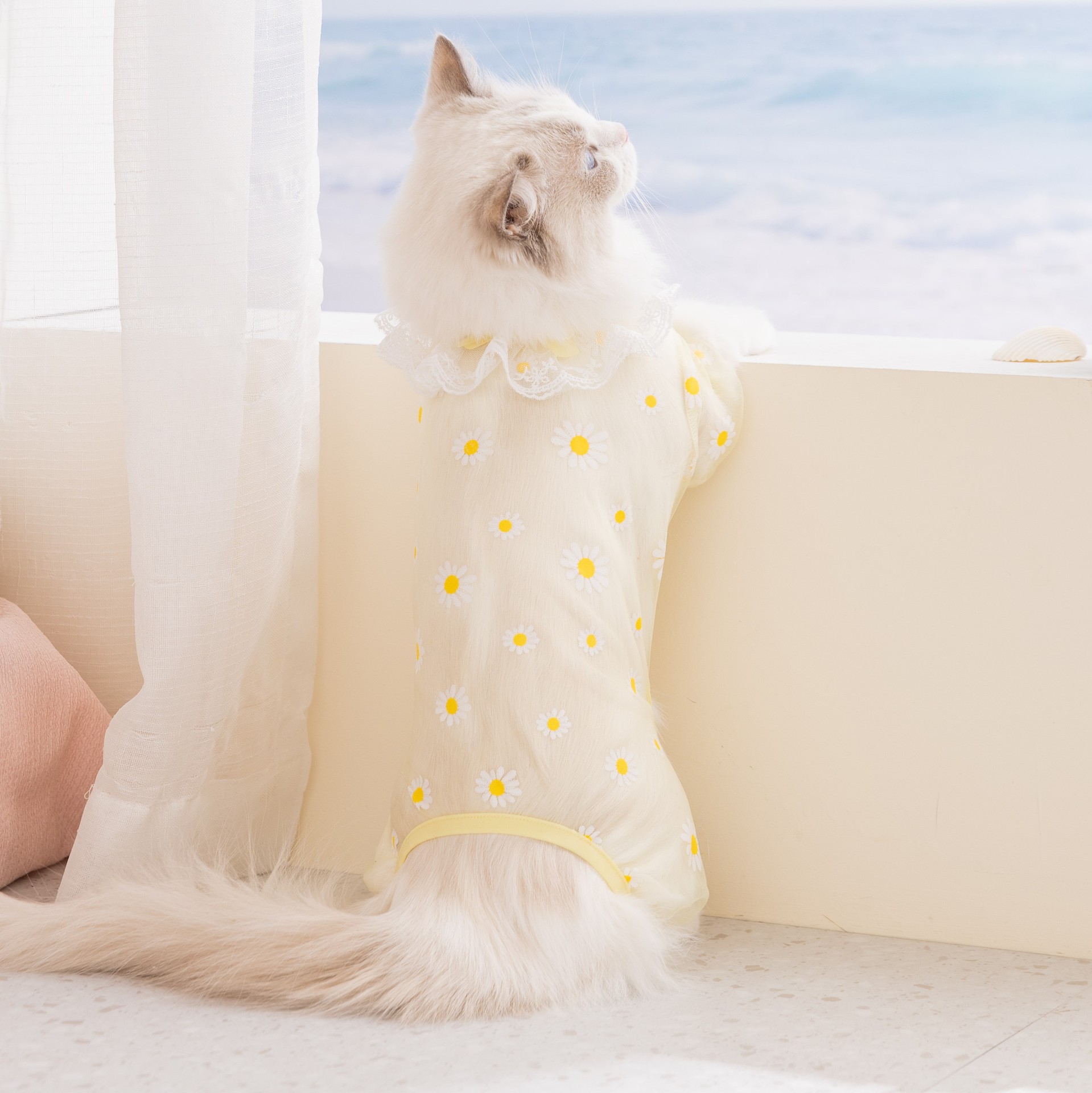 2 Adet İlkbahar/Yazlık Fileli, - Summer Clothing Wraps incelemesi ve fiyatı
