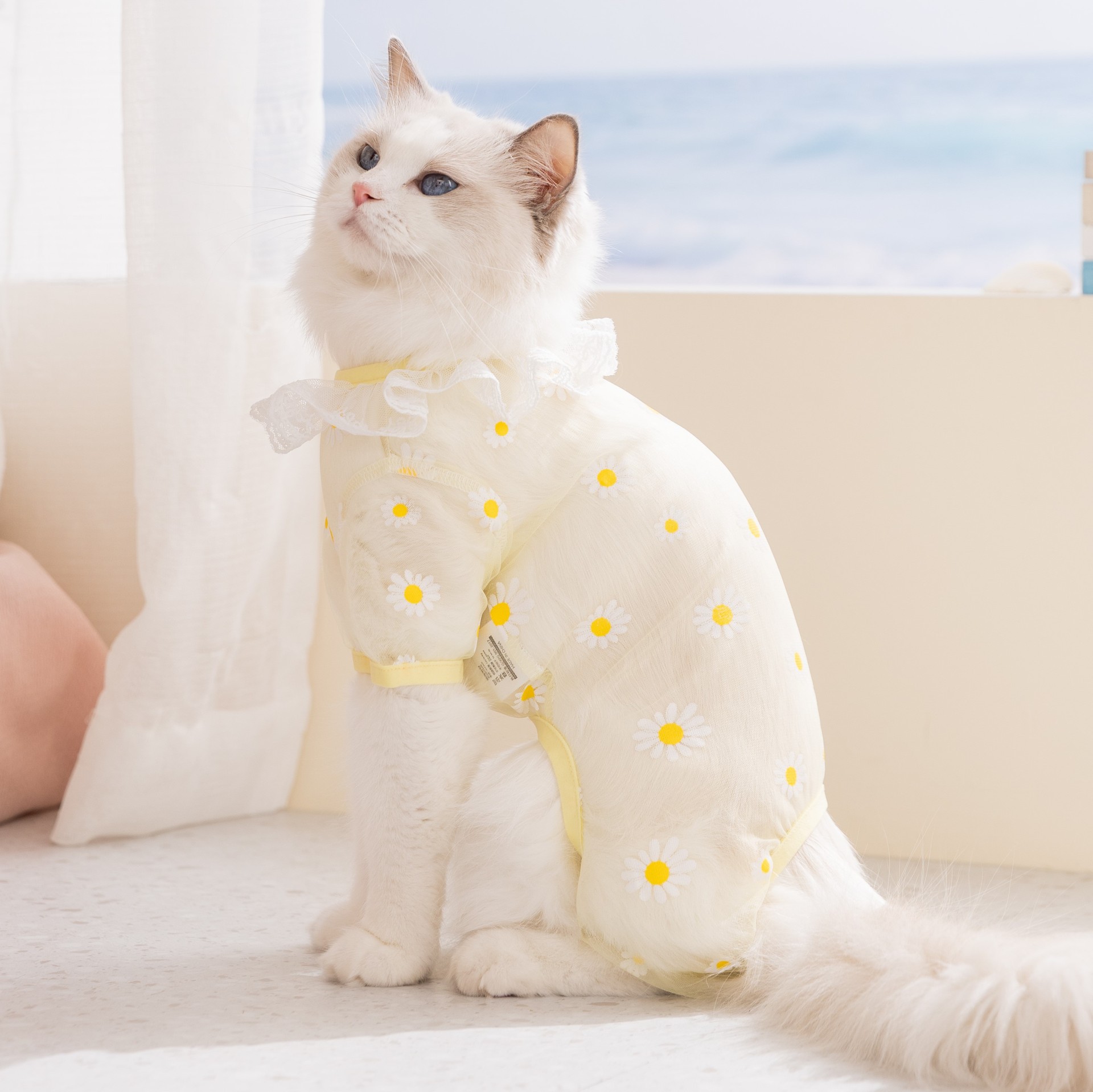 2 Adet İlkbahar/Yazlık Fileli, - Summer Clothing Wraps incelemesi ve fiyatı